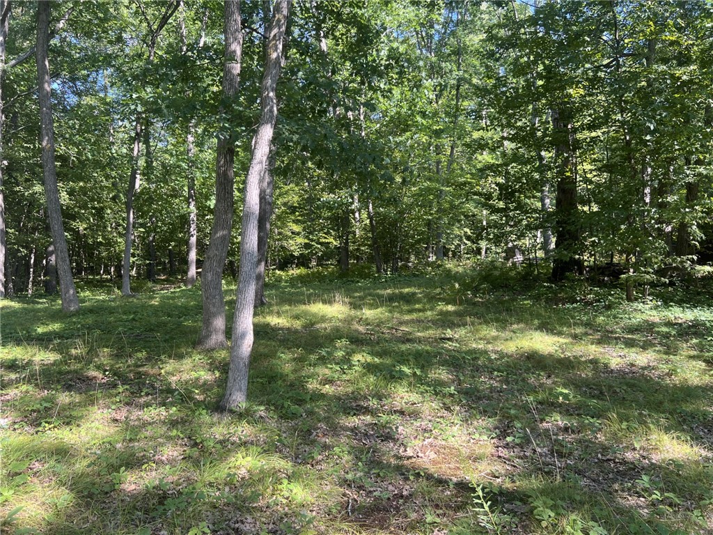 27457 Shake Lane Property Photo 5