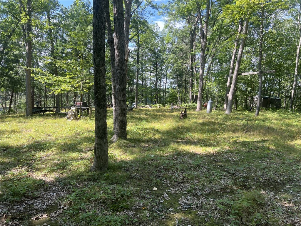 27457 Shake Lane Property Photo 9