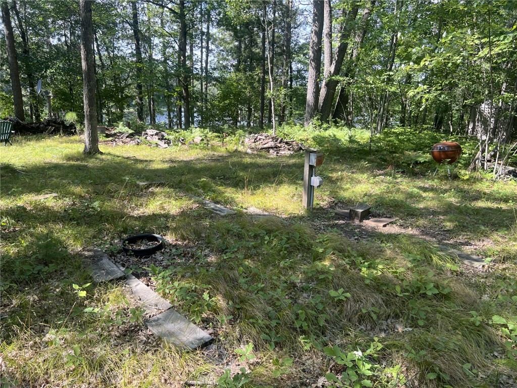 27457 Shake Lane Property Photo 13