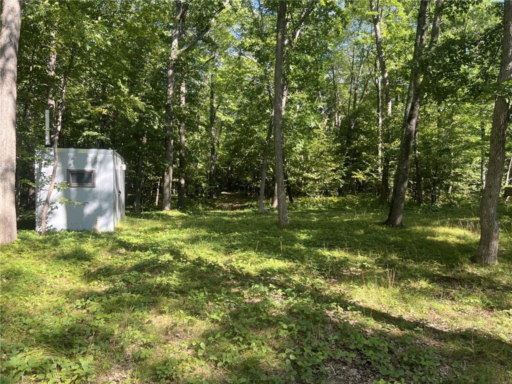 27457 Shake Lane Property Photo 14