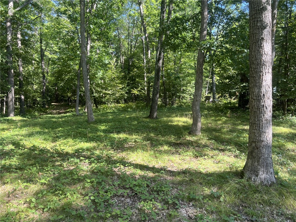 27457 Shake Lane Property Photo 15
