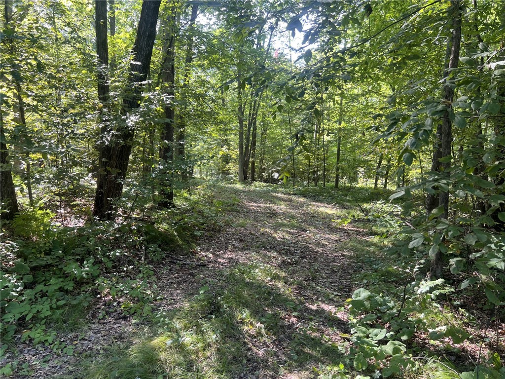 27457 Shake Lane Property Photo 16