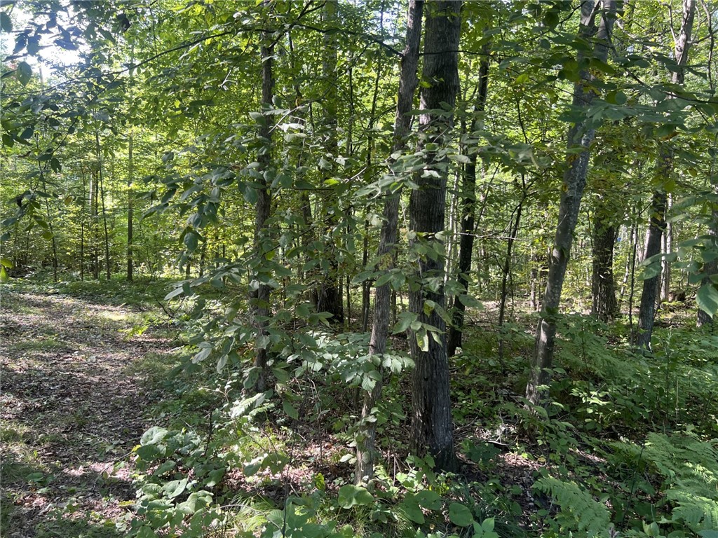 27457 Shake Lane Property Photo 17