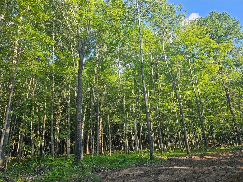 Lot 4 Ken Can Lane Property Photo 1