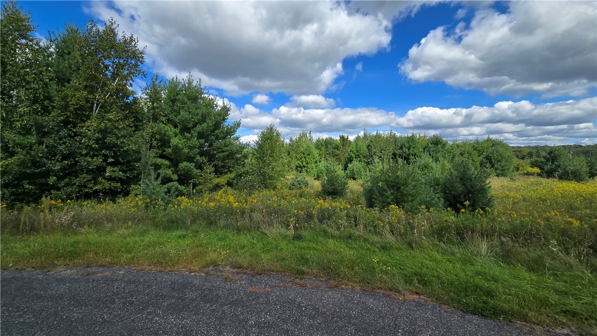 Lot 1 118th St Property Photo 2