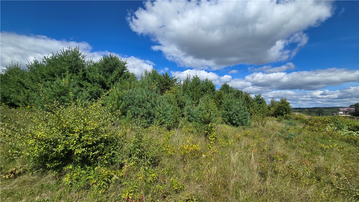Lot 1 118th St Property Photo 4