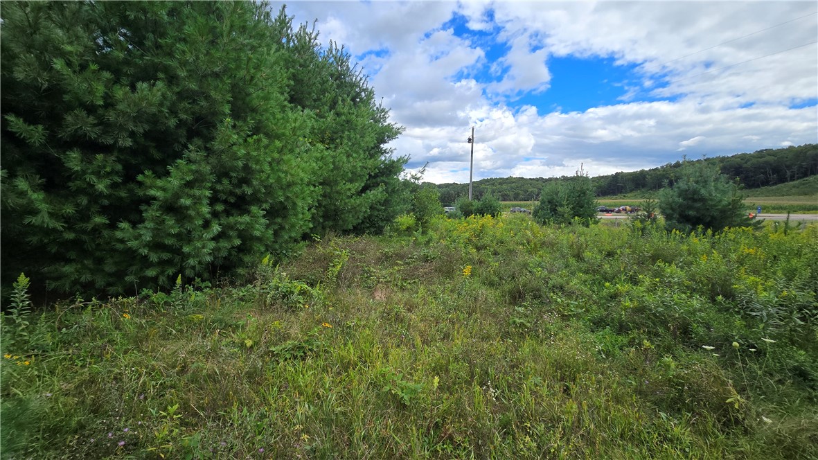 Lot 1 118th St Property Photo 5