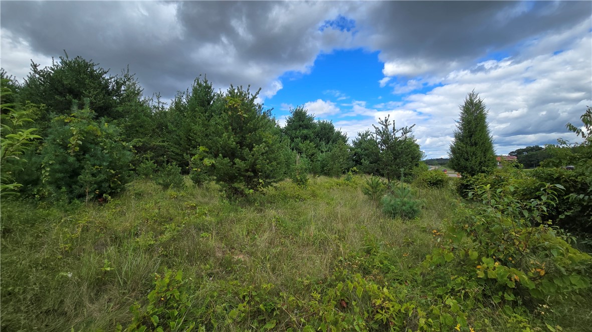 Lot 1 118th St Property Photo 6