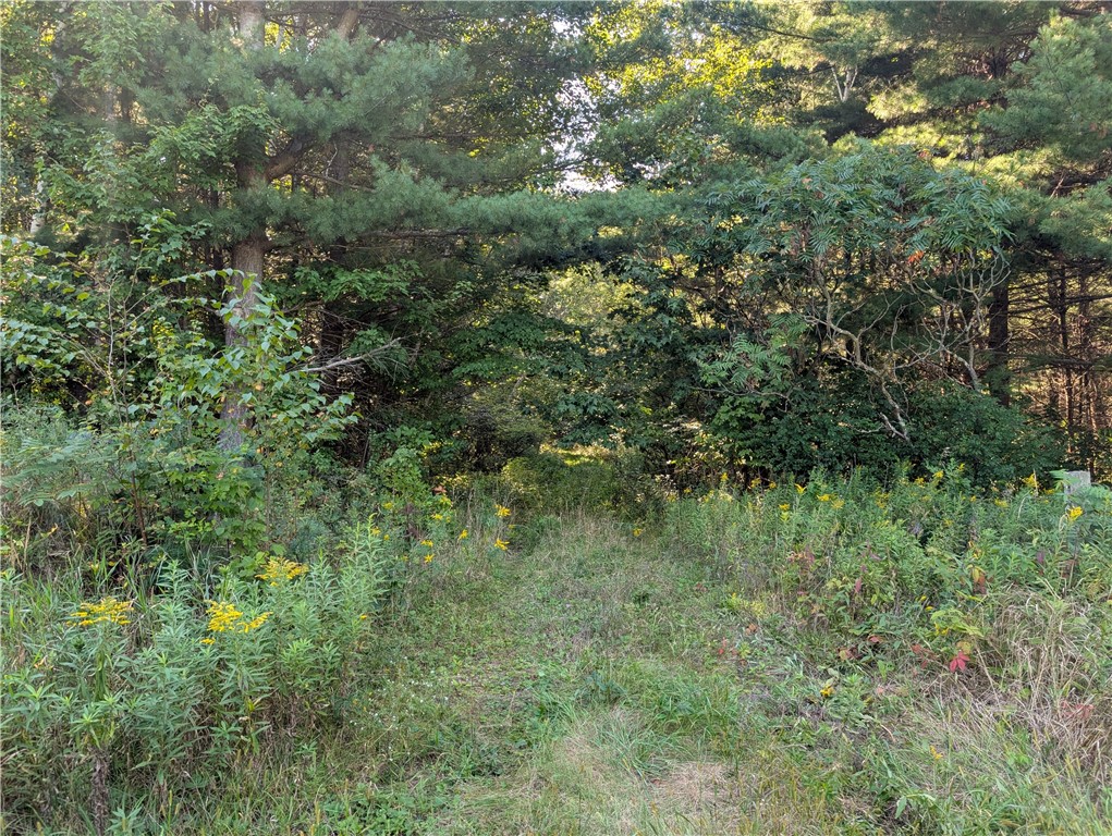 Tbd 40th Street Property Photo 6
