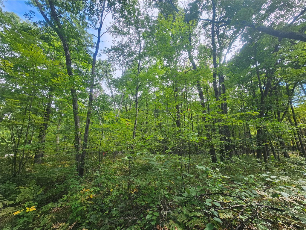 Lot 5 Ken Can Lane Property Photo 3