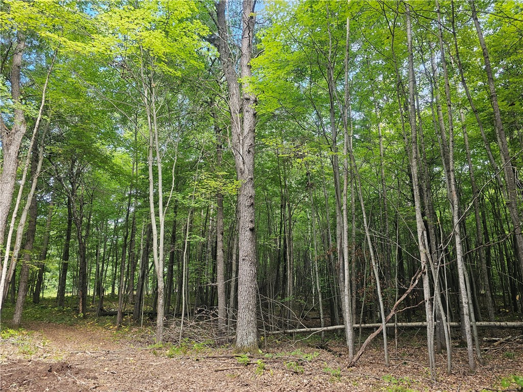 Lot 6 Ken Can Lane Property Photo 1