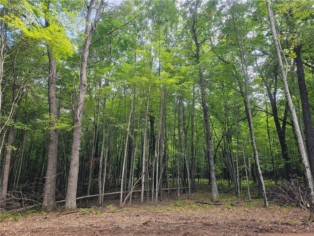 Lot 6 Ken Can Lane Property Photo 6