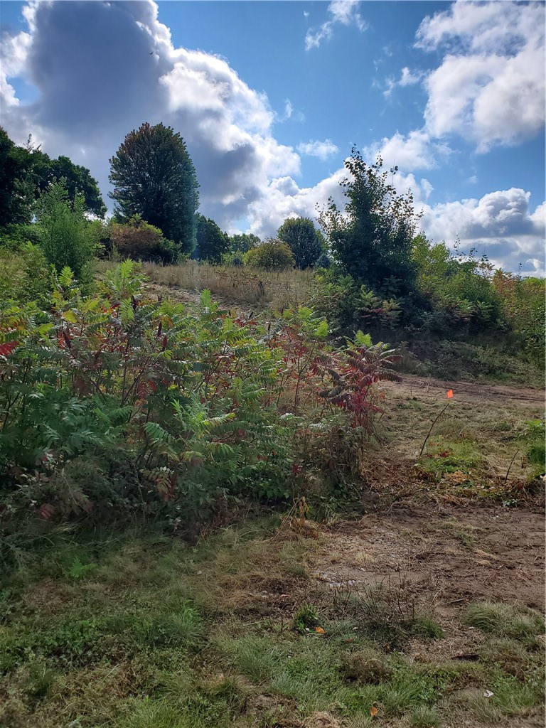 Lot 5 34th Avenue Property Photo 1