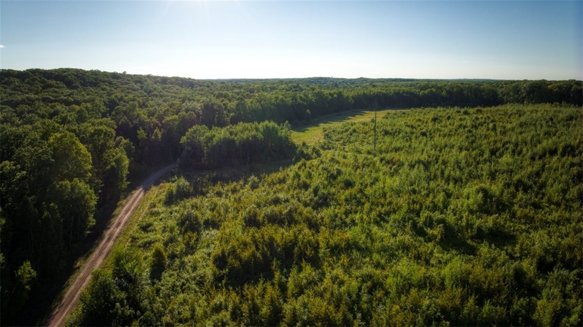 1,711 Acres County Highway C & Comet Road Property Photo 16