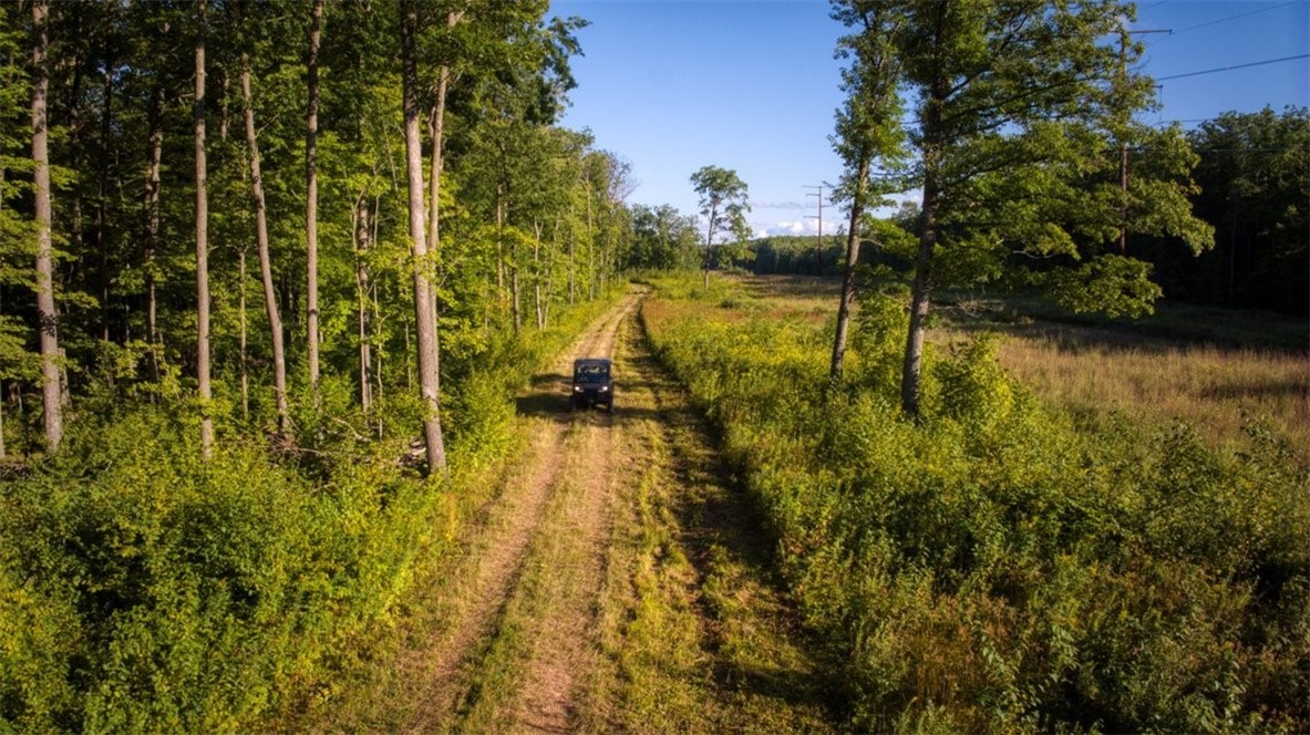 1,711 Acres County Highway C & Comet Road Property Photo 18