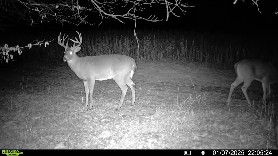 1,711 Acres County Highway C & Comet Road Property Photo 47