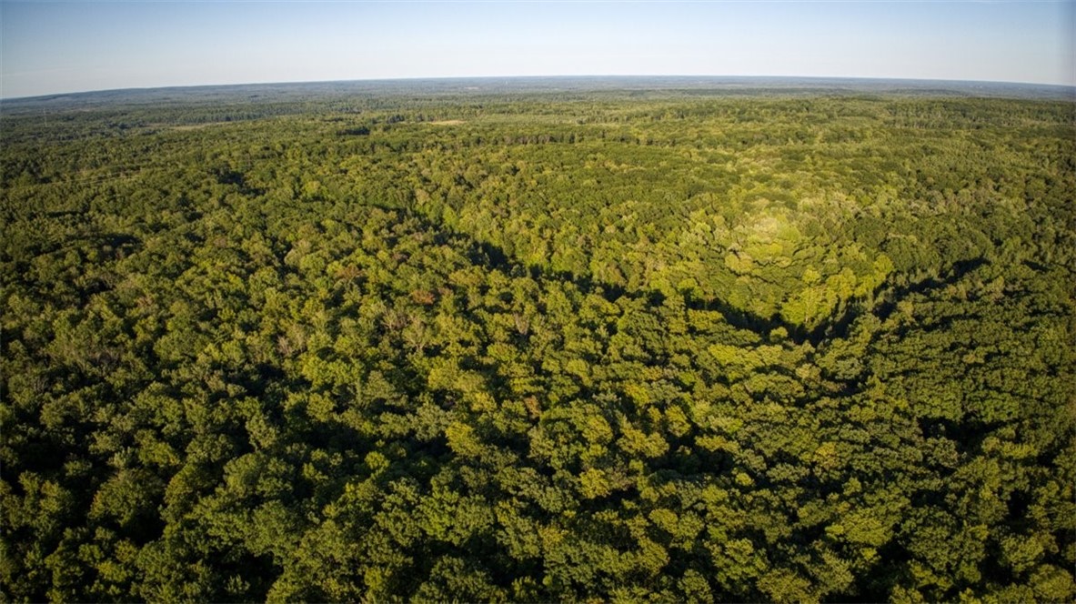 1,923 Acres County Highway C & Comet Road Property Photo 2