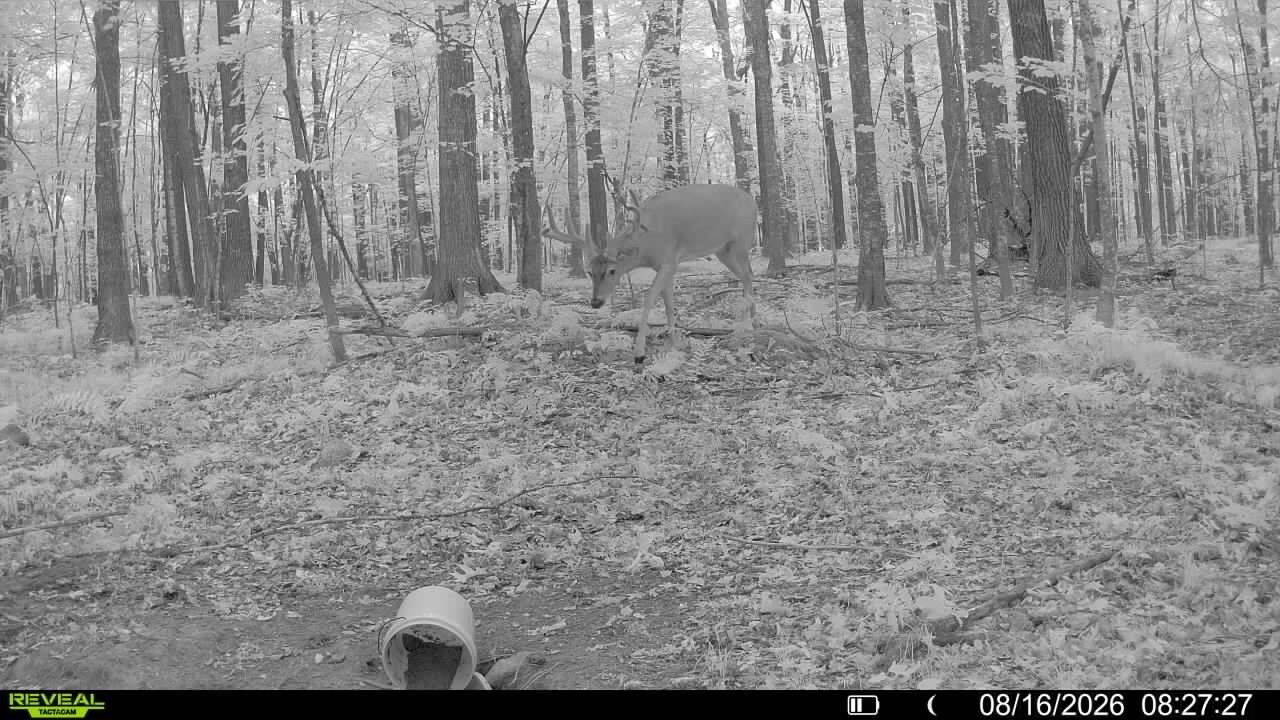 1,923 Acres County Highway C & Comet Road Property Photo 7