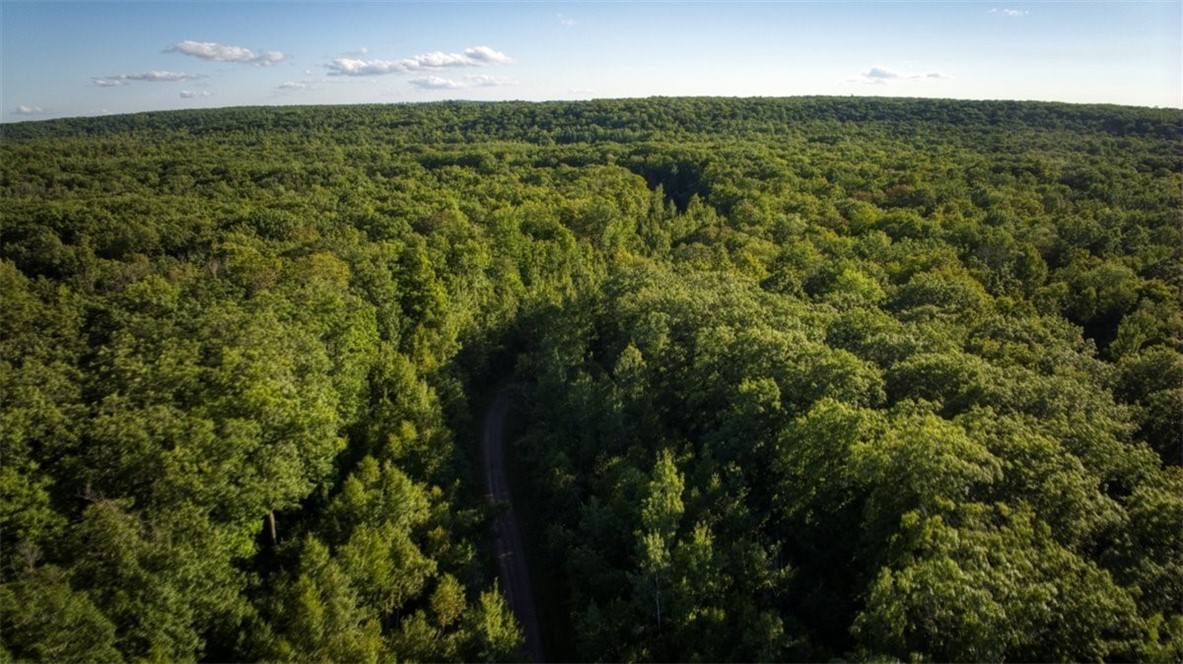 1,923 Acres County Highway C & Comet Road Property Photo 15