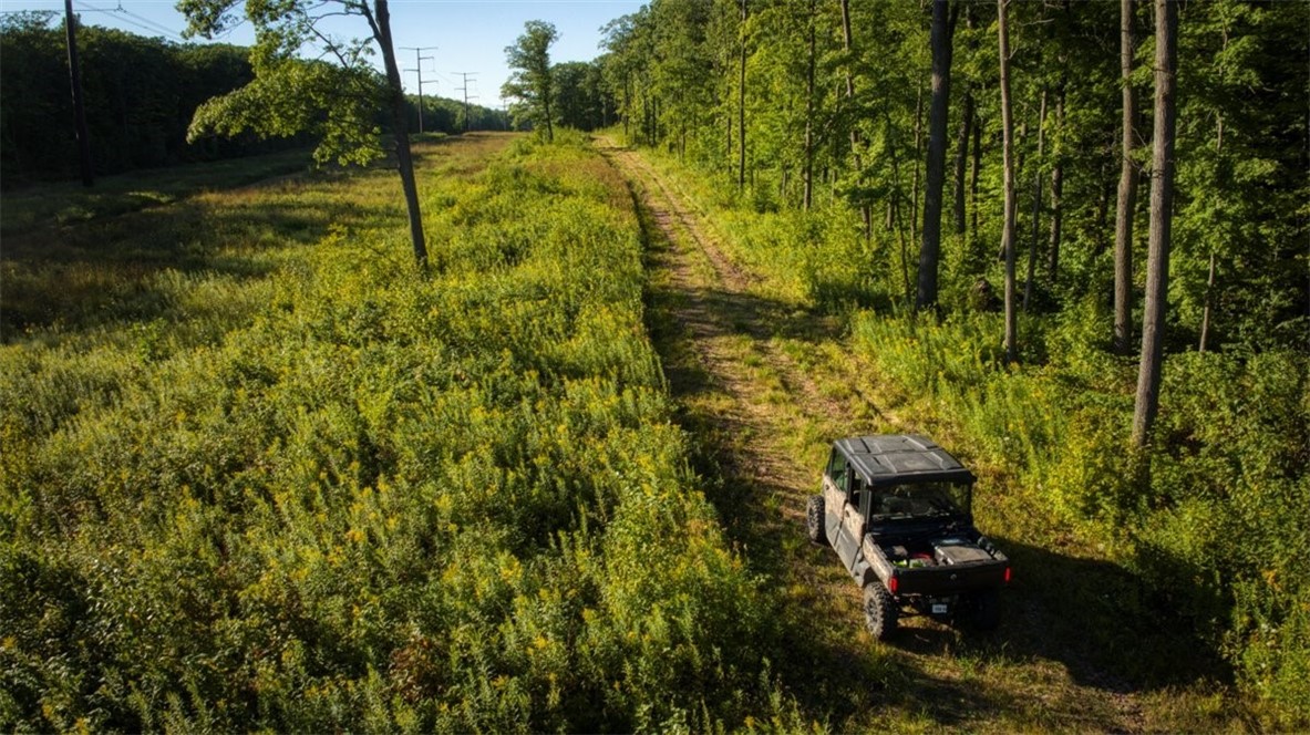 1,923 Acres County Highway C & Comet Road Property Photo 17