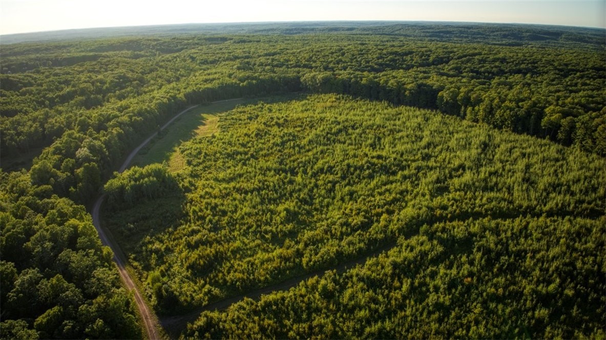 1,923 Acres County Highway C & Comet Road Property Photo 26