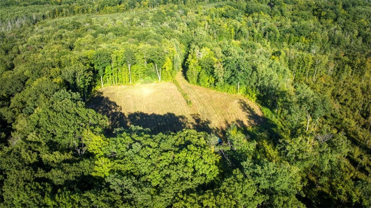 1,923 Acres County Highway C & Comet Road Property Photo 30