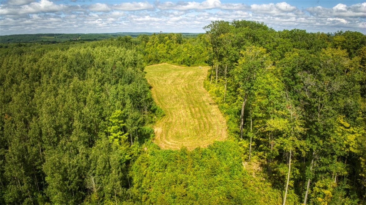 1,923 Acres County Highway C & Comet Road Property Photo 31