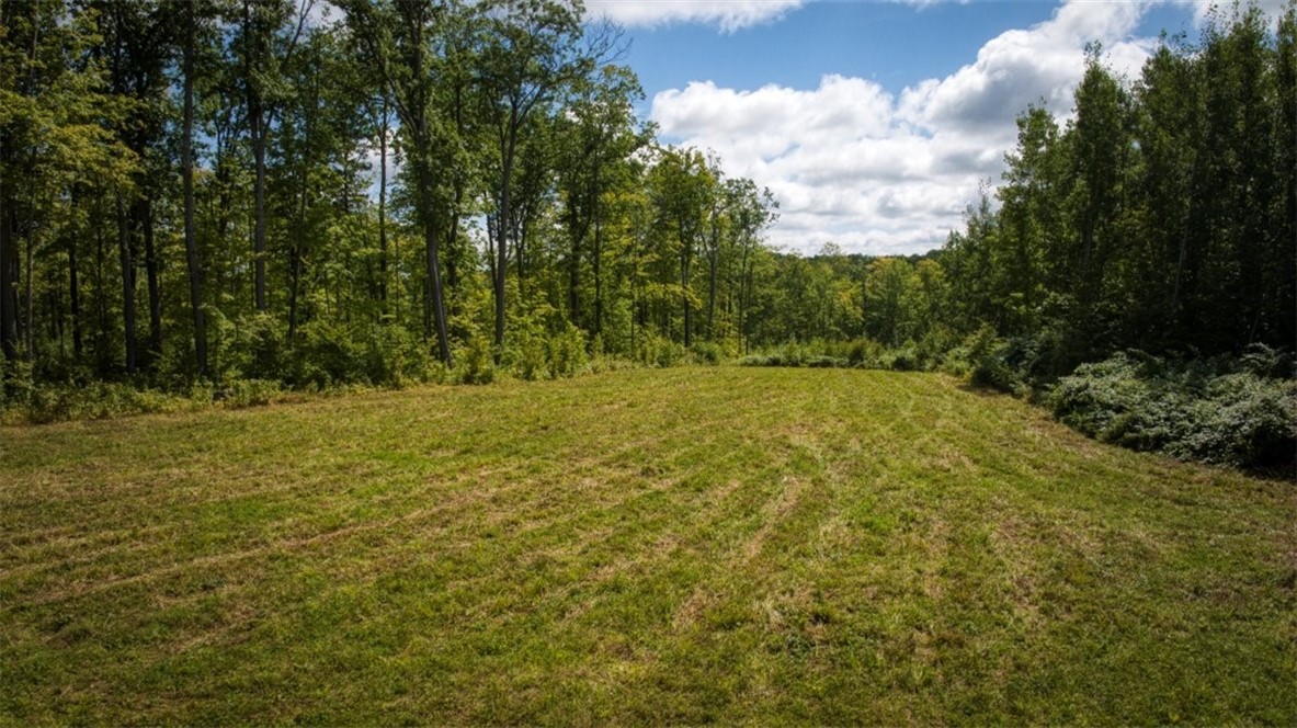 1,923 Acres County Highway C & Comet Road Property Photo 32