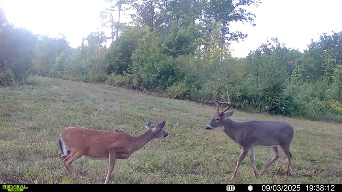1,923 Acres County Highway C & Comet Road Property Photo 33