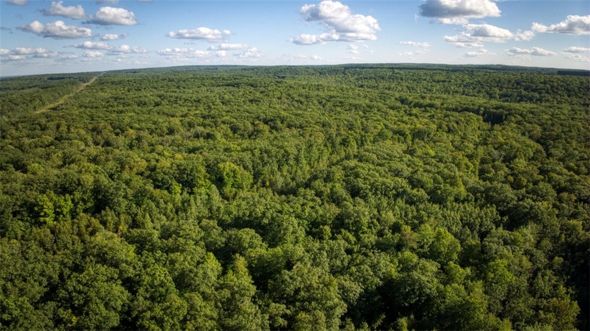 1,923 Acres County Highway C & Comet Road Property Photo 37