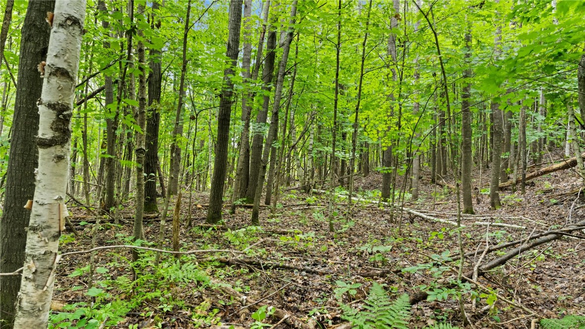 1,923 Acres County Highway C & Comet Road Property Photo 39