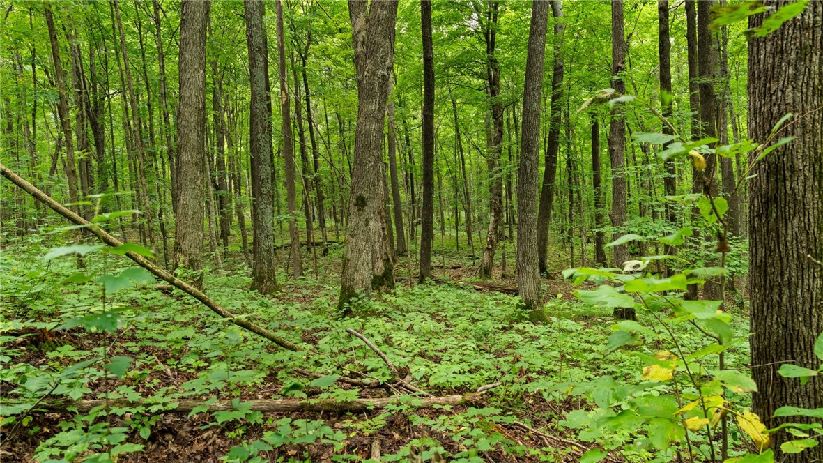 1,923 Acres County Highway C & Comet Road Property Photo 42