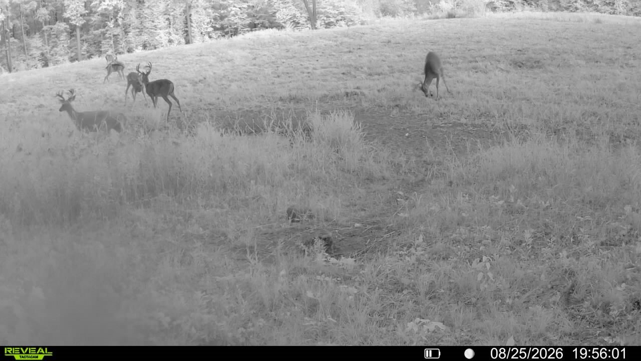 1,923 Acres County Highway C & Comet Road Property Photo 44