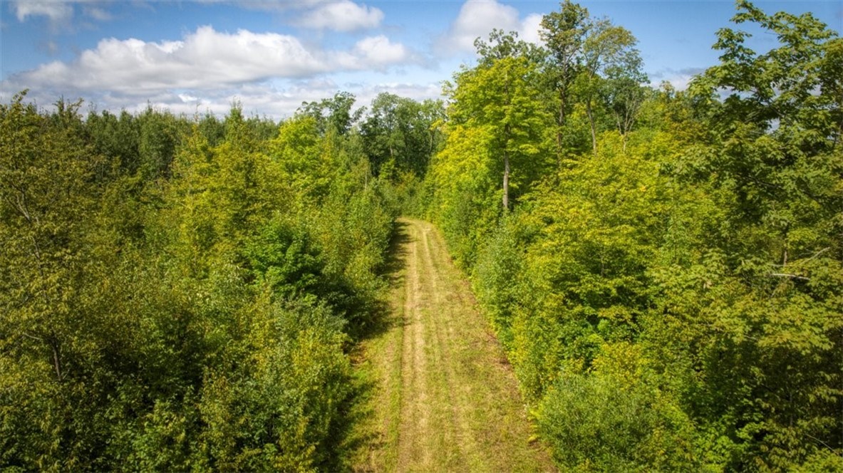 1,923 Acres County Highway C & Comet Road Property Photo 51