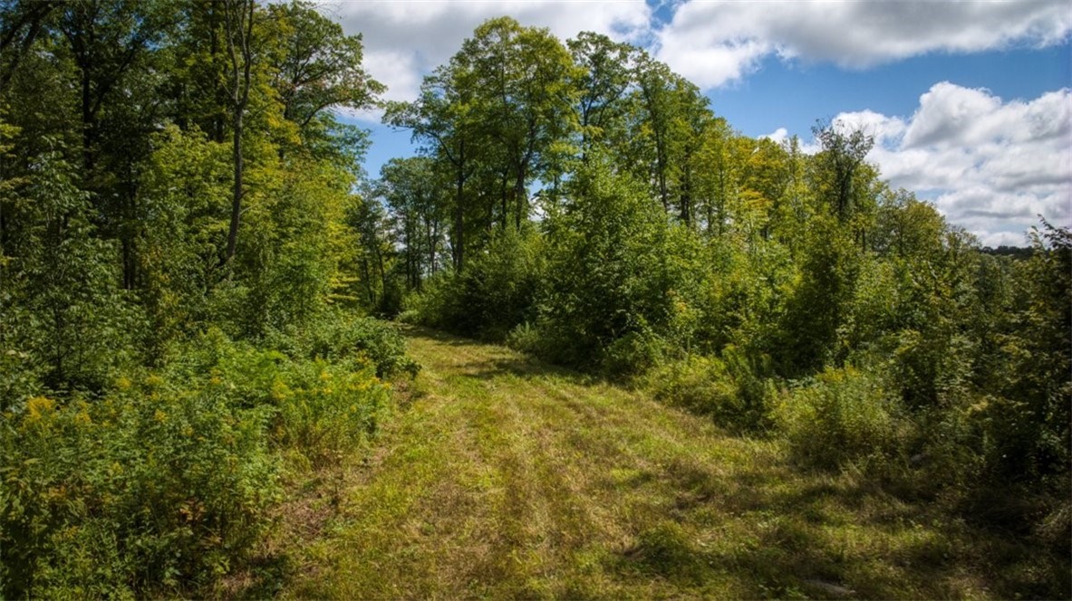 1,923 Acres County Highway C & Comet Road Property Photo 52