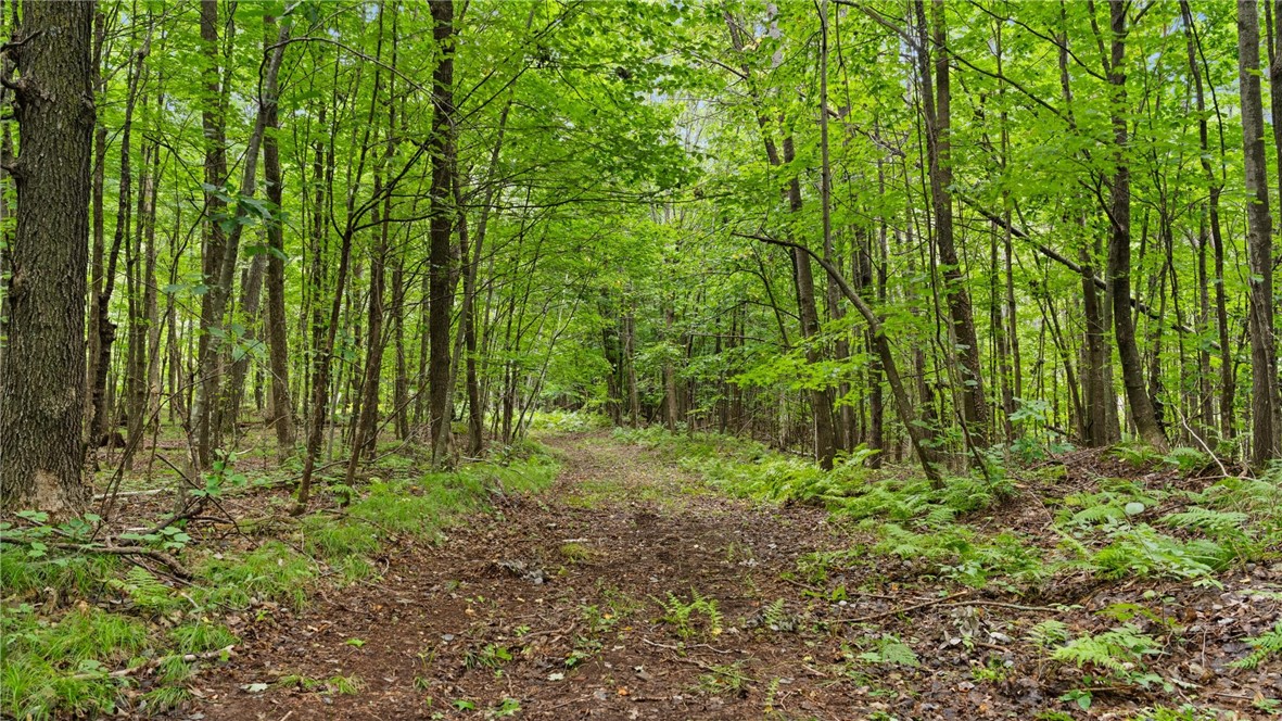 1,923 Acres County Highway C & Comet Road Property Photo 53