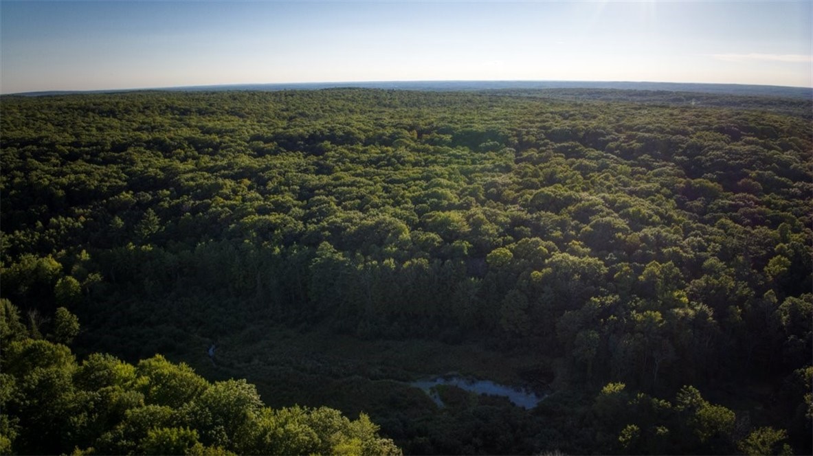 1,923 Acres County Highway C & Comet Road Property Photo 54