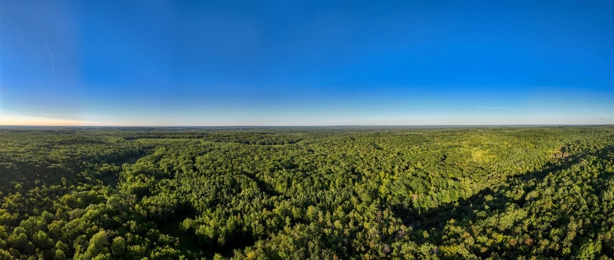 1,923 Acres County Highway C & Comet Road Property Photo 56