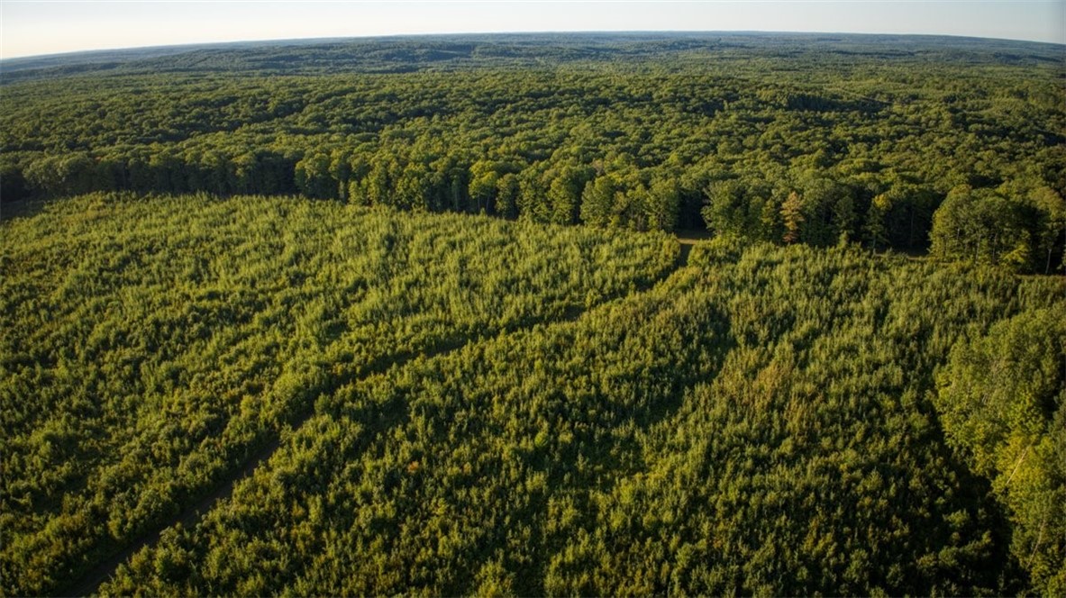1,923 Acres County Highway C & Comet Road Property Photo 57