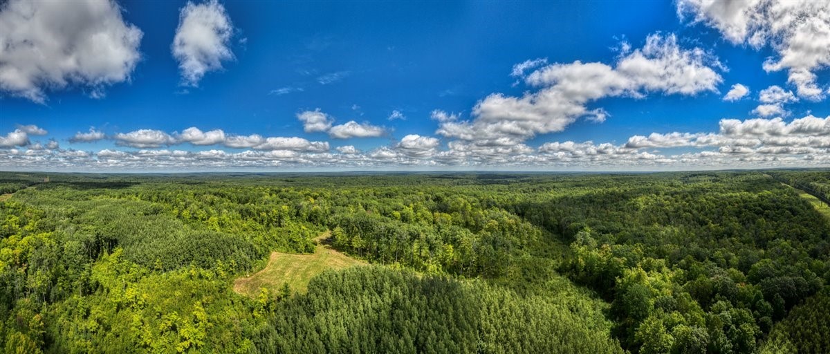 1,923 Acres County Highway C & Comet Road Property Photo 58