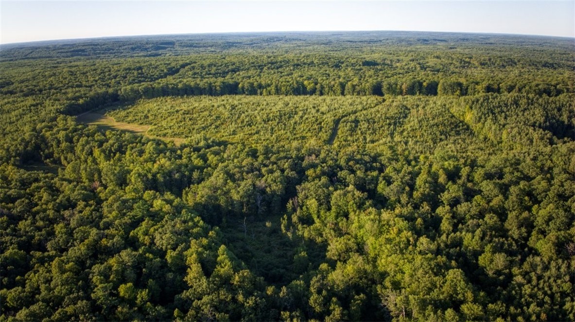 1,923 Acres County Highway C & Comet Road Property Photo 59
