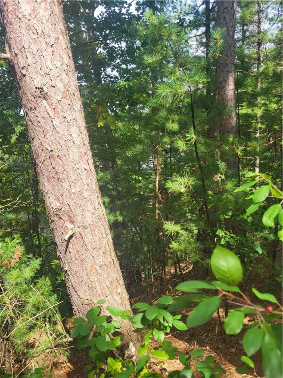 Lot 2 Betty Lane Property Photo 1