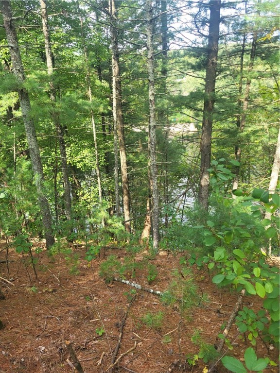 Lot 2 Betty Lane Property Photo 3