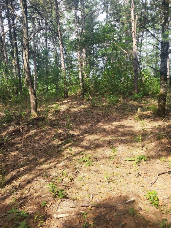 Lot 2 Betty Lane Property Photo 4