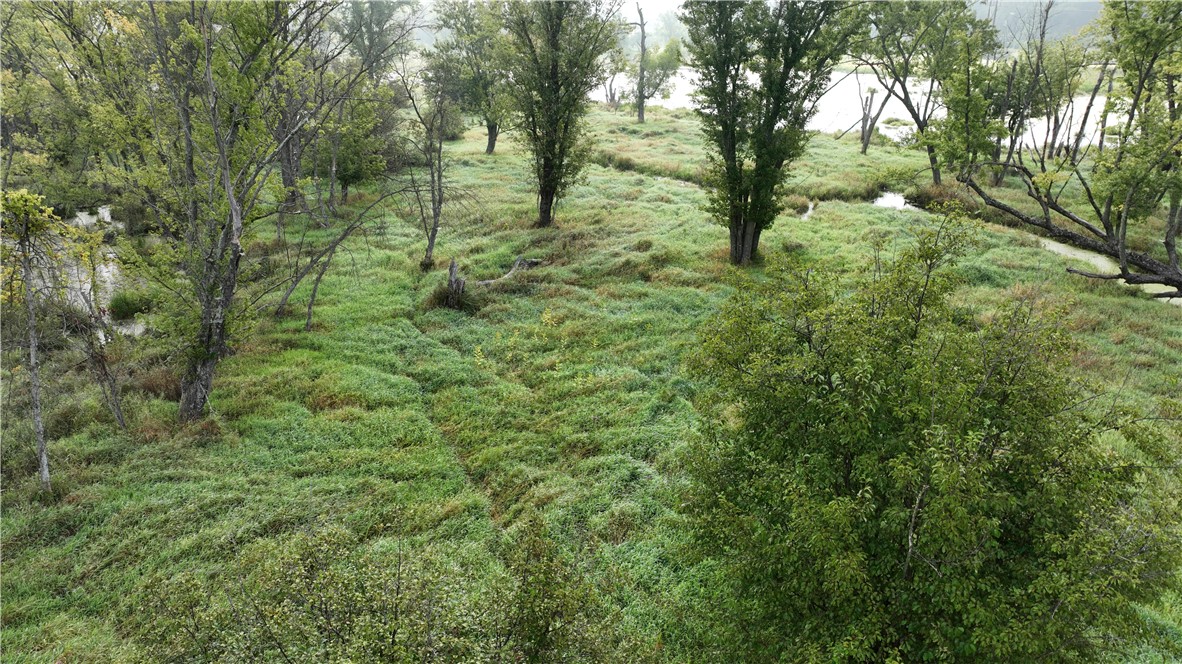 Xx Cesler Valley Rd Property Photo 5