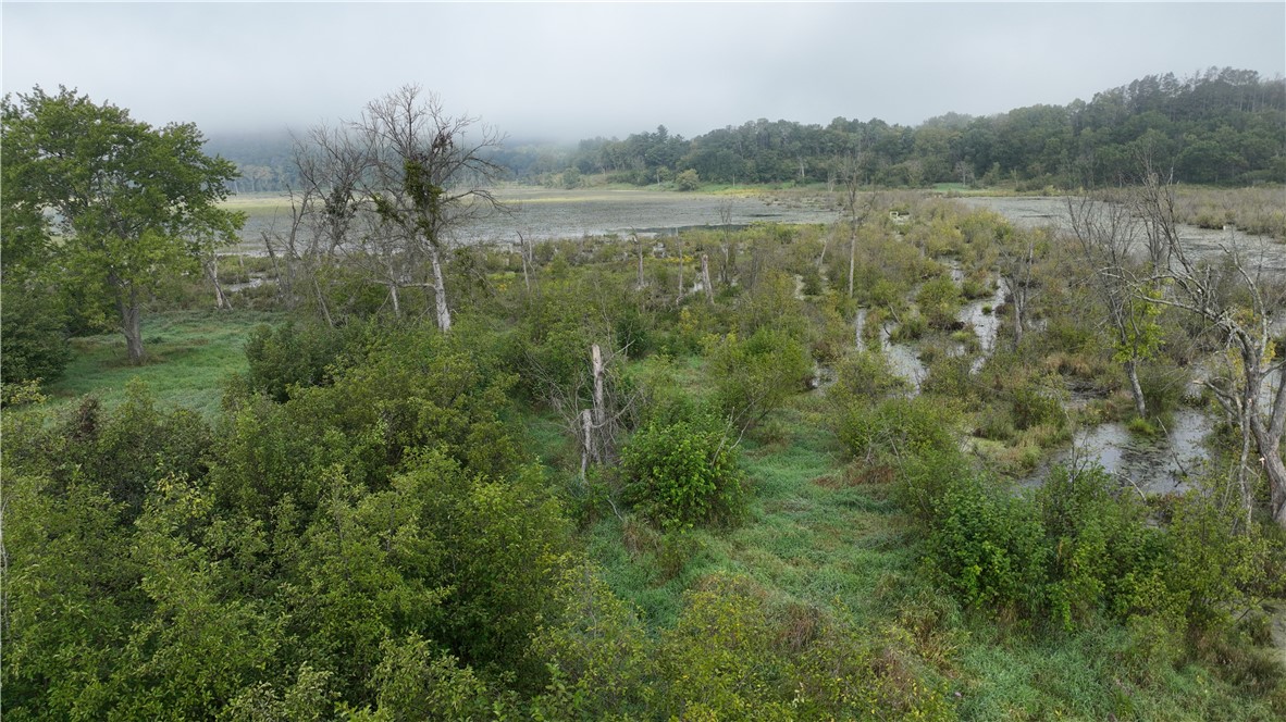 Xx Cesler Valley Rd Property Photo 6