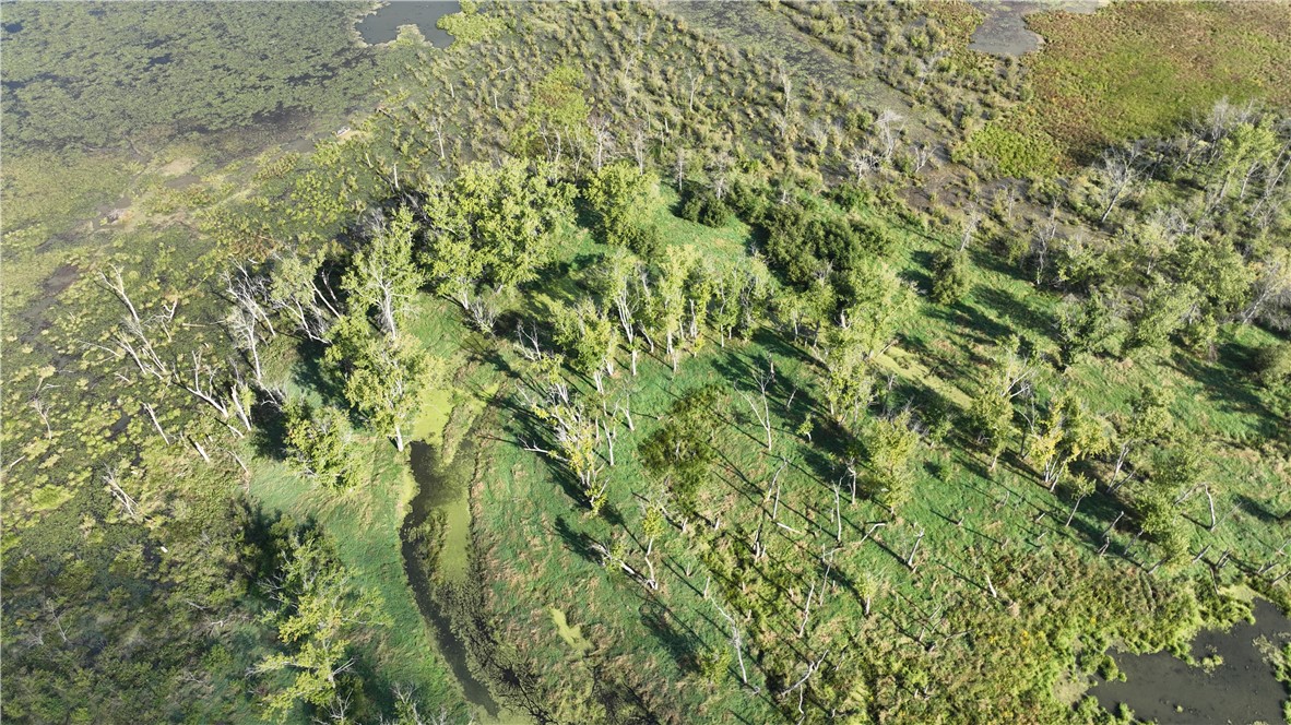 Xx Cesler Valley Rd Property Photo 23