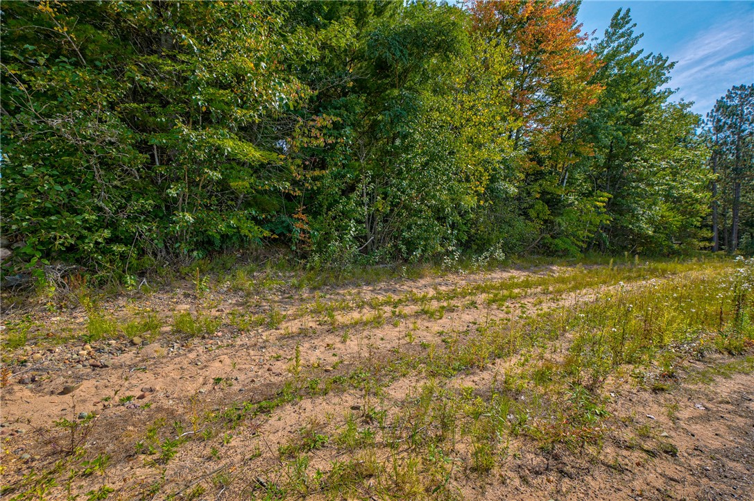 0 Division Avenue Property Photo 6