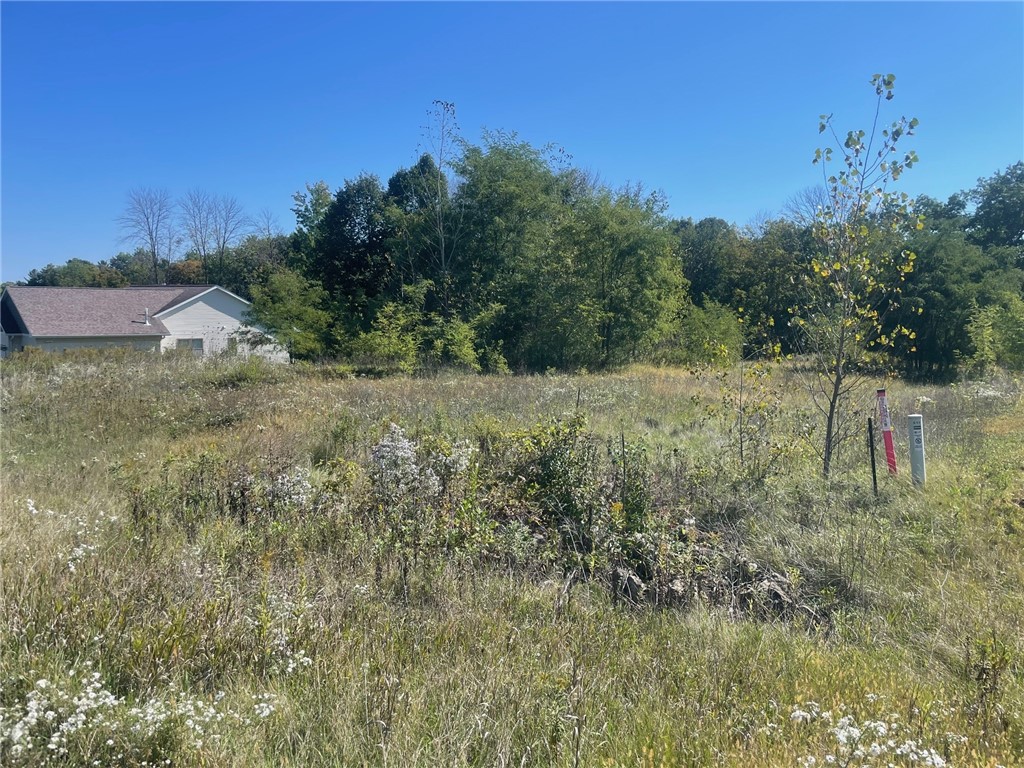 1112 Timber Path Property Photo 4