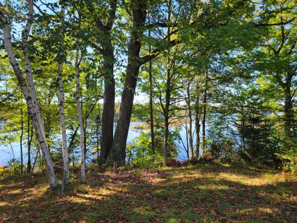 6733w Golf Course Road Property Photo 5